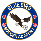 Bluebird Soccer Academy 